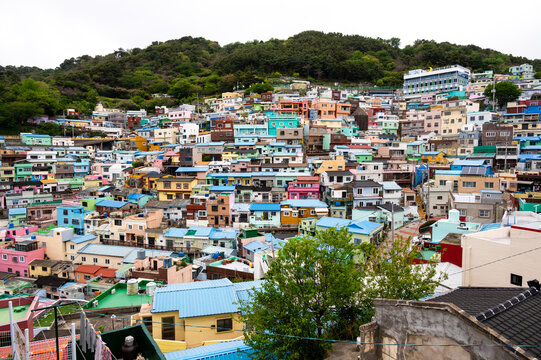 Colorful terraced houses stacked on the hillside of Gamcheon Culture Village in Busan, South Korea