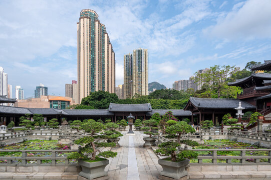 Symmetrical courtyard of Chi Lin Nunnery with bonsai trees and lotus ponds contrasted with skyscrapers in Hong Kong