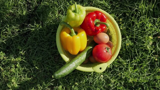 Hand picking fresh garlic from a colander of vegetables