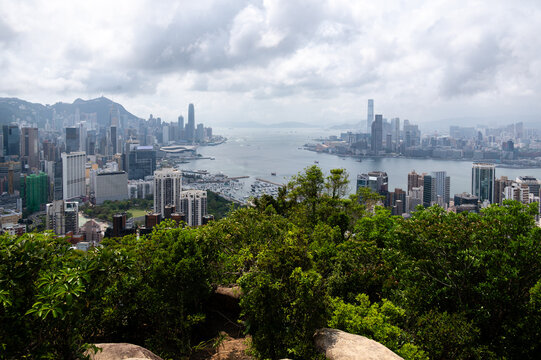 Panoramic high angle view of Victoria Harbour skyline from Braemar Hill with green foliage foreground in Hong Kong