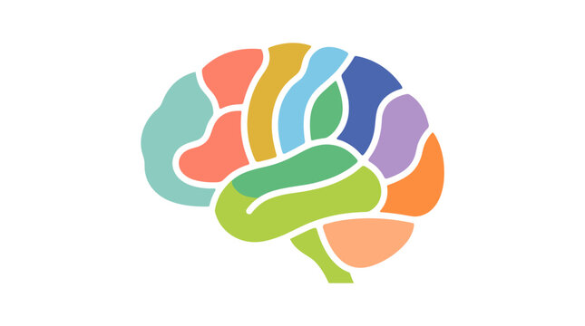 Colorful Brain Diagram: A vibrant and stylized illustration of the human brain, divided into distinct, colorful segments, representing different cognitive functions or areas of thought.