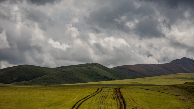 Landscape Kazachstan, ASSI, mountain, trees, green, clubs, trevel, 