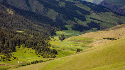 Fototapeta premium Landscape Kazachstan, ASSI, mountain, trees, green, clubs, trevel, 