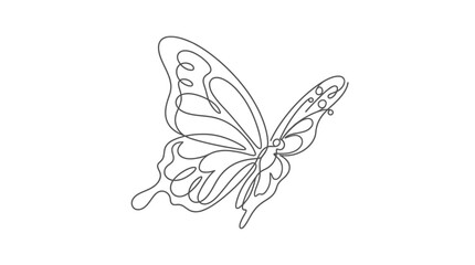Butterfly Line Drawing On White Background Minimalist Insect Illustration © Sekh