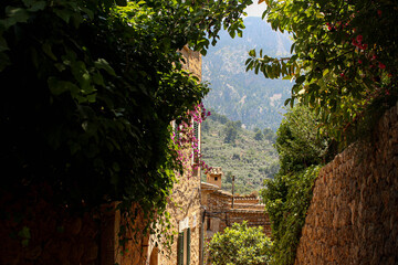 Fototapeta premium old house in the mountains with branches