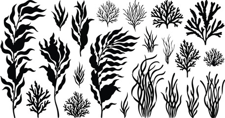 Deep ocean seaweeds coral reef plants vector silhouette icon set © SHARMIN