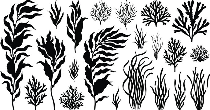 Deep ocean seaweeds coral reef plants vector silhouette icon set