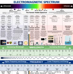 Electromagnetic spectrum physics educational infographic. Light waves, radiation types, visible spectrum, frequency and wavelength scale vector illustration. © brichuas