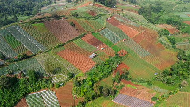 Aerial view of colorful agricultural fields and terraced farmland with small huts on a lush hillside in Sukabumi, West Java, Indonesia.