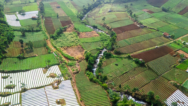 Aerial view of lush agricultural fields and vegetable plots with a small river winding through the rural landscape in Sukabumi, West Java, Indonesia.