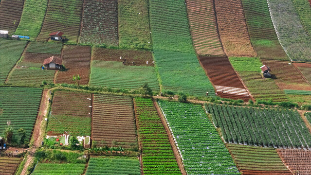 Aerial view of terraced agricultural fields with various crops, small farm huts, and farmers working in Sukabumi, West Java, Indonesia.