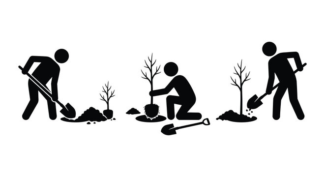Planting A Tree Stages Depicted In Black Silhouette gardening horticulture arboriculture forestation reforestation sapling seedling
