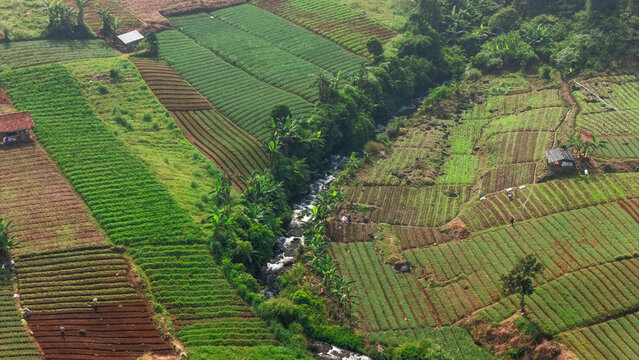 Aerial view of terraced agricultural fields and vegetable gardens divided by a small river with farmers working in the rural landscape of Sukabumi, West Java, Indonesia.