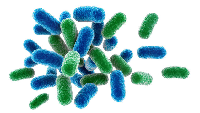 Blue and green rod-shaped bacteria cluster, isolated on transparent background