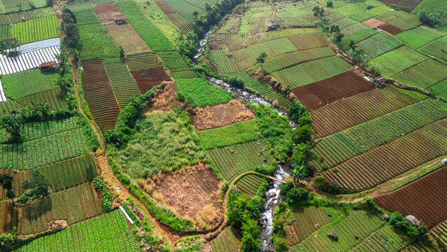 Aerial view of lush terraced agricultural fields and a winding river flowing through the rural landscape in Sukabumi, West Java, Indonesia.