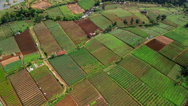 Aerial view of lush agricultural fields and terraced vegetable plots with small farm huts and a winding stream in Sukabumi, West Java, Indonesia.