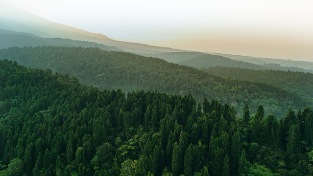 Aerial view of dense tropical forest covering rolling hills under a misty sky at dawn Sukabumi, West Java, Indonesia.