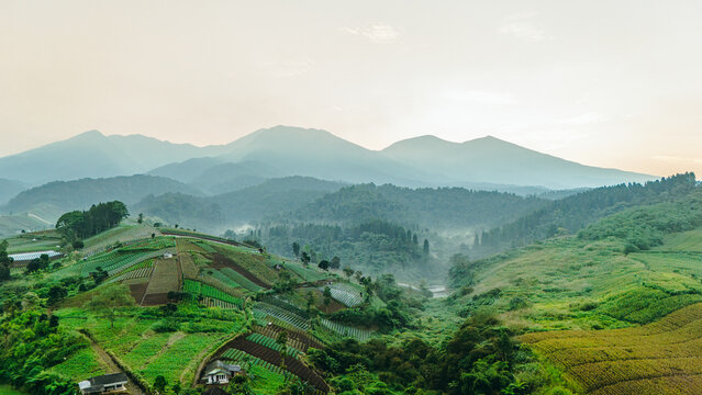 Aerial view of lush terraced agricultural fields on a hillside with misty mountains in the background under a soft sky Sukabumi, West Java, Indonesia.