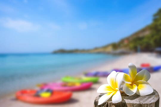 soft focus of Plumeria with white sand and beautiful blue sea over clear blue sky.