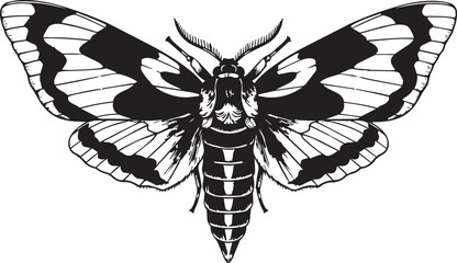Detailed Death's Head Moth illustration with striking black and white patterns isolated on a clean background © Itz Pro