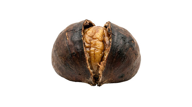 Close up of a roasted coffee bean with golden caramelization.