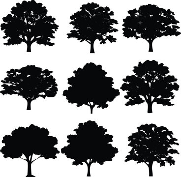 Vector art of collection of various tree silhouettes, perfect for naturethemed designs, forestry projects, or creating natural scene illustrations