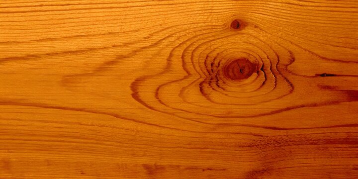 Golden pine wood knot grain texture background surface
