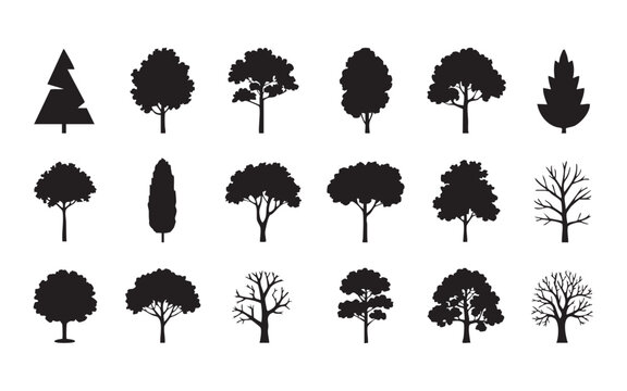 Assorted deciduous and coniferous tree silhouettes for park landscaping and environmental graphics.