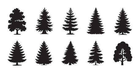 Obraz premium Collection of diverse stylized pine and spruce trees silhouettes, isolated on transparent background.