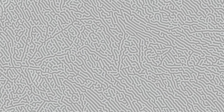 Monochrome Turing reaction. turing style pattern. paper, texture, unique, Turing, pattern, organic, wrapping, Colorful, stipple, dots, line. Linear design with biological shapes. Cell division science