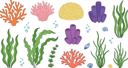Underwater Coral Reef Flora Vector Set with Green Seaweed, Kelp, Tube Sponges, Brain Corals, Sea Shells, and Air Bubble Elements © Ruhul