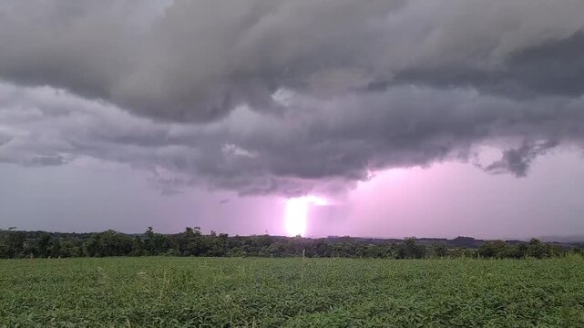 Thunderstorm Over Soybean Field in Paraguay Agricultural Landscape