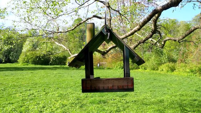 Wooden bird feeder hanging from  tree branch in park. Beautiful green lawn on sunny spring day. 4K footage for your projects.