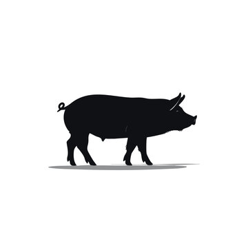 Black silhouette of a pig standing isolated on white background.