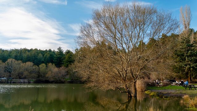 Izmir, Turkey - March 08, 2026: View near Karag&ouml;l Lake in Izmir, Turkey, showing calm water, forested surroundings, green trees, natural landscape, and peaceful outdoor scenery.