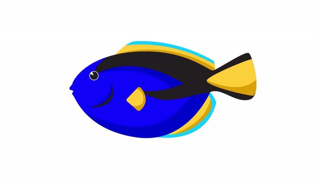 Regal blue tang fish is a vivid, colorful aquatic animal perfect for marine life, ocean, and tropicalthemed projects. Great for backgrounds.