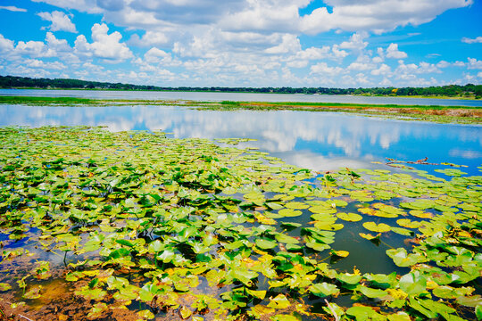 landscape of Lake Wales is a historic city in Polk County, Florida, highest point of Florida
