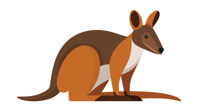 Illustration of a Sitting Kangaroo with Brown Fur.