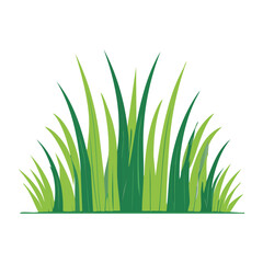 Fototapeta premium Cluster of green grass blades illustration