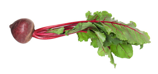 Obraz premium Young beet with leaves isolated on white