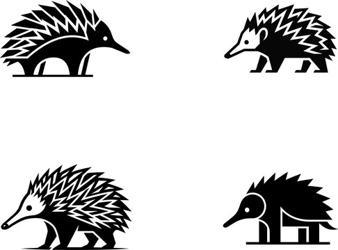 Four black and white echidna stylized spiny anteater silhouettes