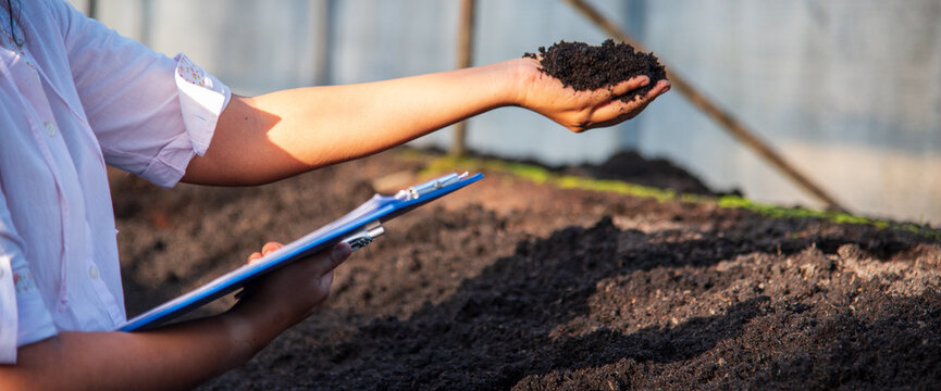 Banner Close up Hand check soil quality control inspector. Smart farmer checking plant eco green farm sustainable quality control. Banner Farmer cultivated eco Farmland biotechnology with copy space