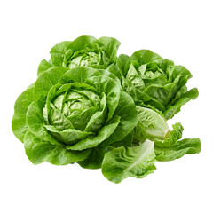 Fototapeta premium FRESH fresh vegetables WITHOUT BACKGROUND FOR fresh vegetables ADVERTISING DECORATION DESIGN