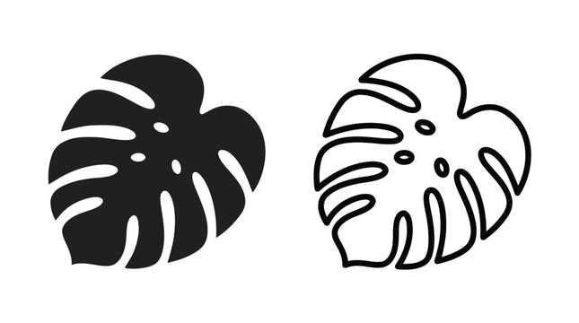 Monstera leaf silhouettes with linear outline black and white illustration silhouette