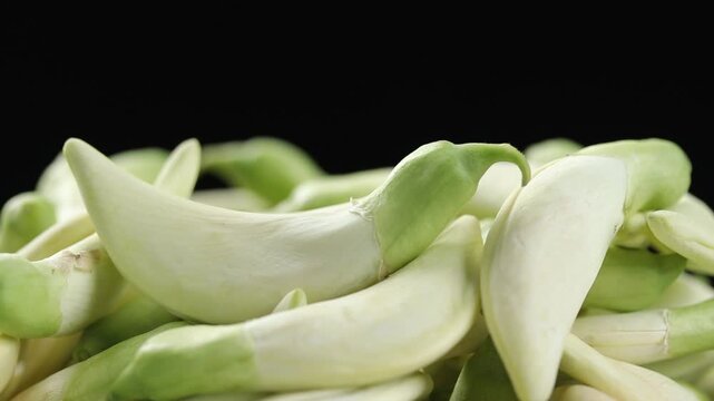 Pile of fresh white vegetable hummingbird flowers or Agati slowly rotating on a black background.