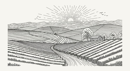 Fototapeta premium Engraved Farm Landscape with Rolling Fields and Sunrise