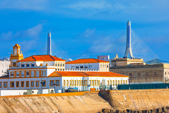 Cadiz city in Spain features beautiful white waterfront buildings with along the coastal seawall. Massive, modern cable stayed La Pepa Bridge towers impressively in blue background