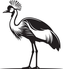 Obraz premium Black and white crowned crane bird standing on one leg Vector