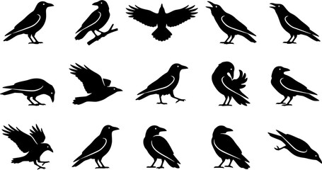 Obraz premium Carrion Crow silhouette icon set, flat black glyph style, pure white background