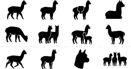 Fototapeta premium Alpaca silhouette icon set, flat black glyph style, pure white background